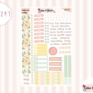 Daily Duo 7x9 Weekly Kit - Kit 247