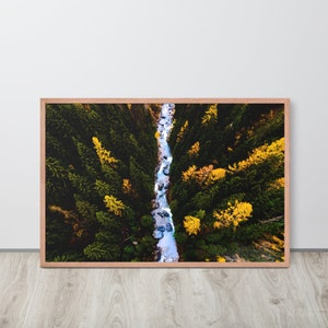 River Through Trees Digital Print