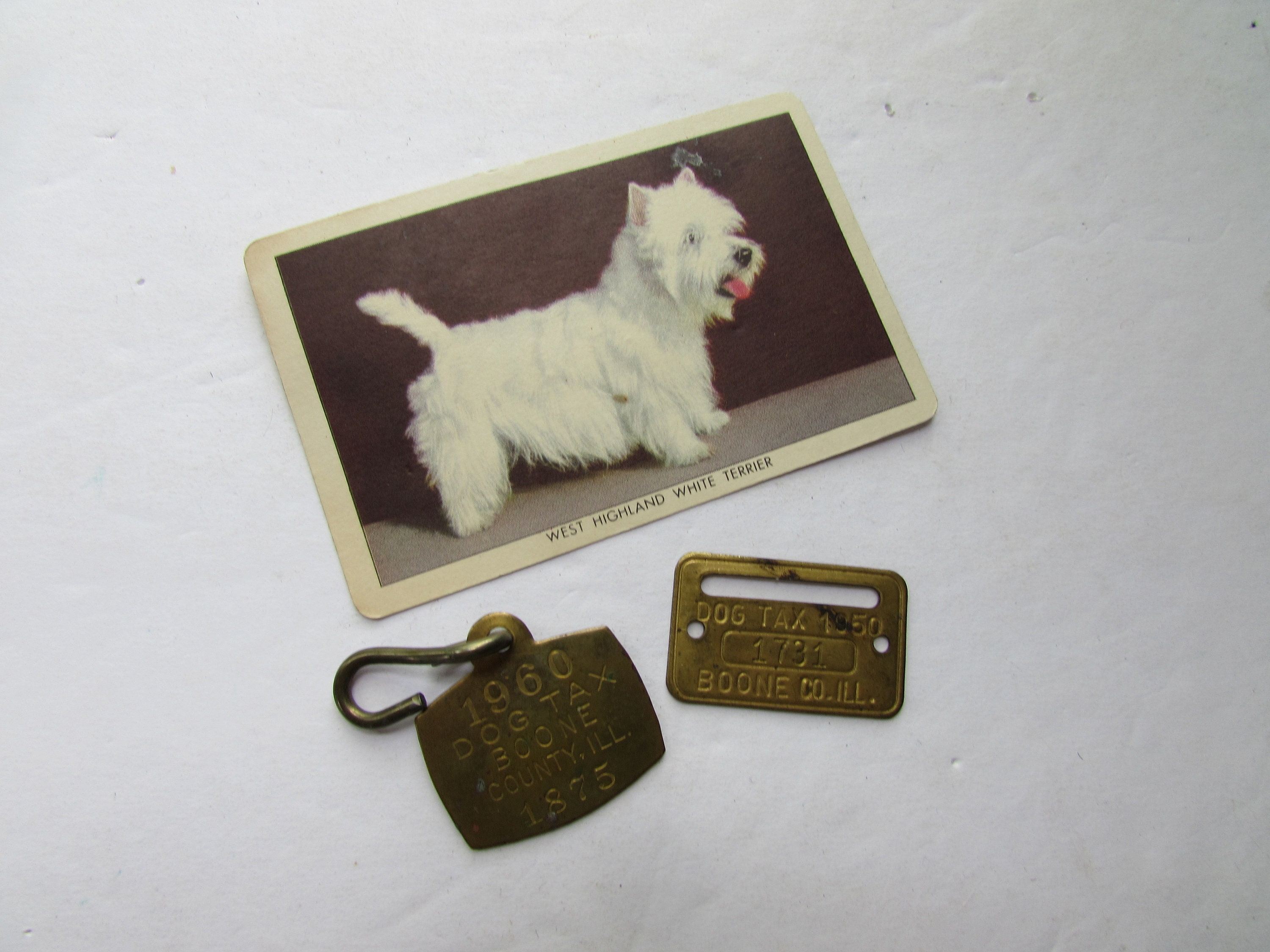 Dog Tags Dog Tax Tags 1950 1960 Dog Registration Boone County IL