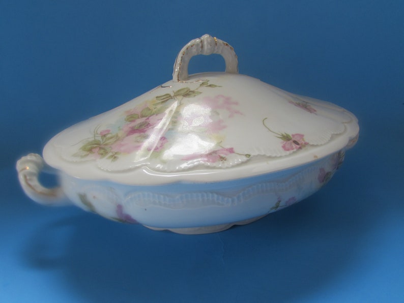 SALE Antique Tureen Lidded Serving Bowl O & E G Porcelain Royal Austria Late 1800 Early 20th Century Pink Wild Rose Antique Table Ware image 6