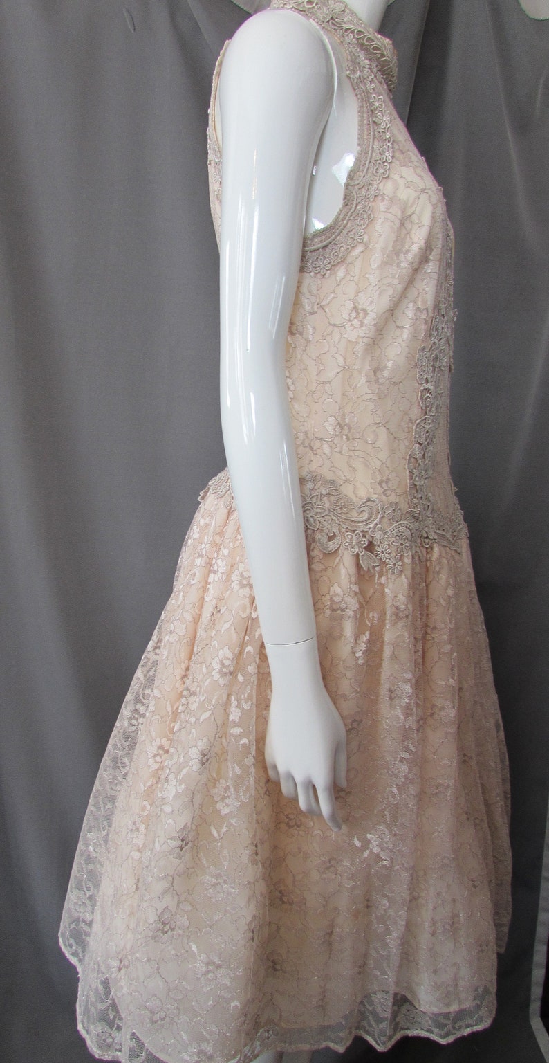 May include: A sleeveless, blush-colored lace dress with a scalloped hem and a delicate floral pattern. The dress is fitted at the bodice and flows out into a full skirt.