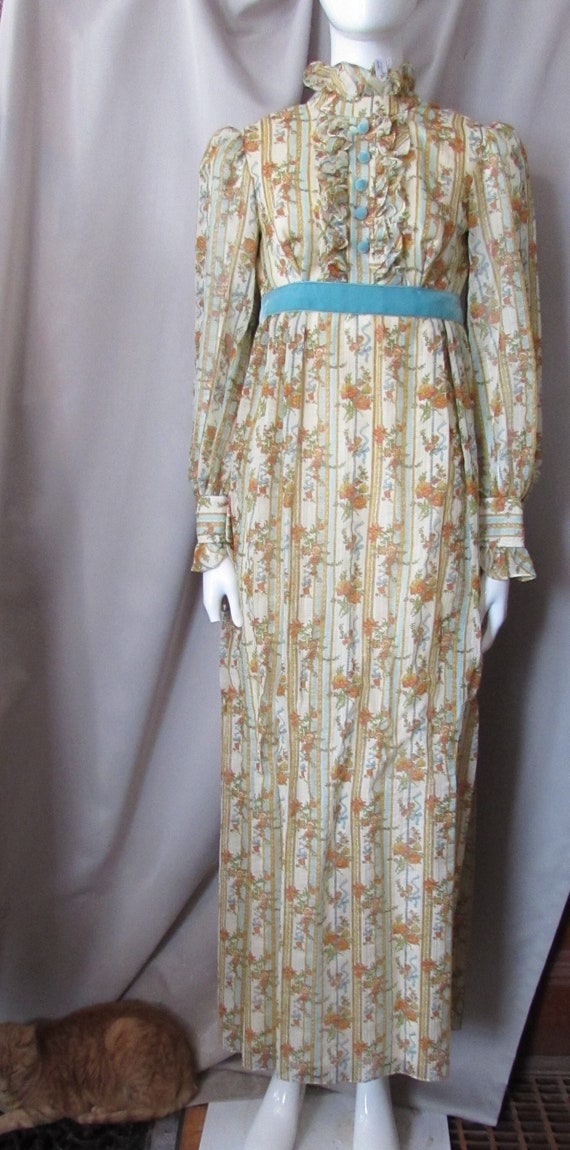 Vintage Dress 1970 Era Prom Dress Garden Party Dre