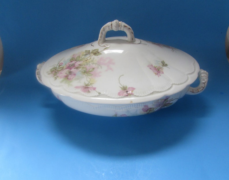 SALE Antique Tureen Lidded Serving Bowl O & E G Porcelain Royal Austria Late 1800 Early 20th Century Pink Wild Rose Antique Table Ware image 2