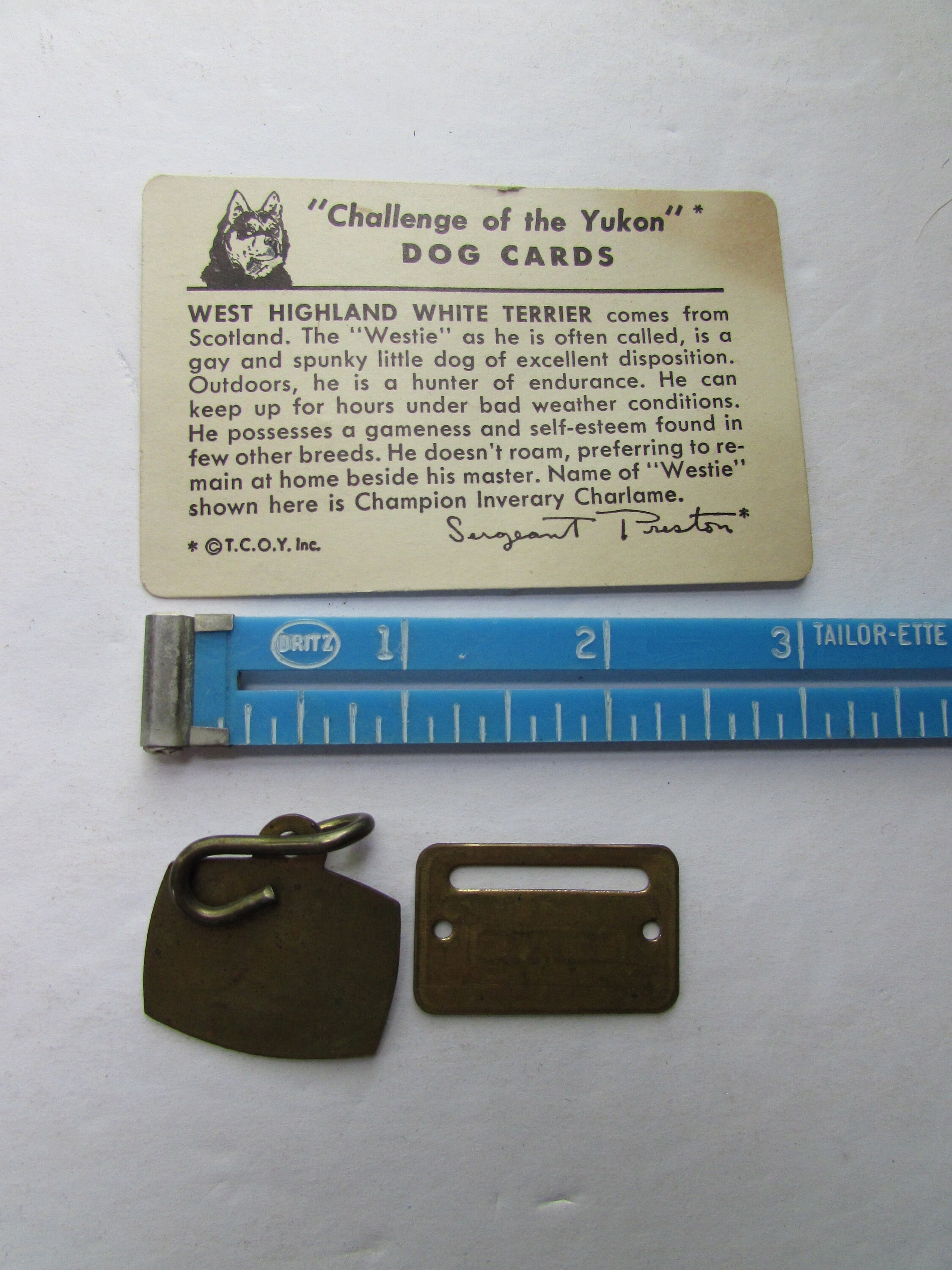 Dog Tags Dog Tax Tags 1950 1960 Dog Registration Boone County IL
