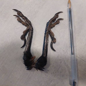 May include: Close-up of a bird's foot with three toes and sharp claws. The foot is dark brown and black, and the claws are black. The foot is lying on a light grey surface.
