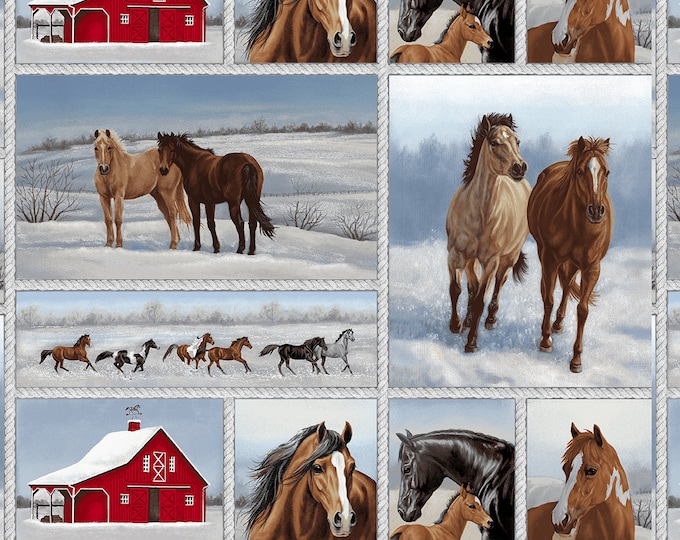 Horse Whisperer by Studio E Fabrics 100 Cotton Quilting Etsy