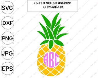 ananas SVG, cirkel monogram SVG, ananas monogram, SVG voor cricut ontwerpruimte, ananas silhouet, ananas shirt