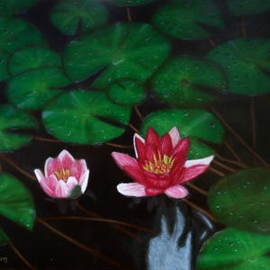 Original Oil Painting, Water Lilies