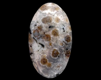 Ocean Jasper Cabochon