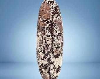 Sonoran Dendritic Cabochon