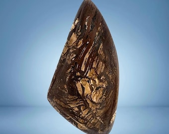 Biggs Picture Jasper Cabochon