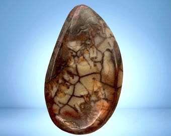 Spiderweb Jasper Cabochon