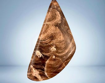 Fossil Stromatolite Cabochon