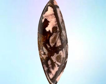 Cabujón de jaspe del Outback