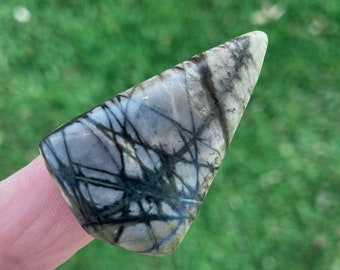 Video, Spiderweb Serpentine Cabochon