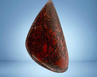 Dinosaur Bone Cabochon