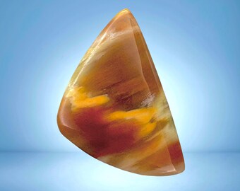 Video, Petrified Wood Cabochon