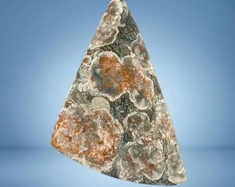 Lily Pad Rhyolite Cabochon