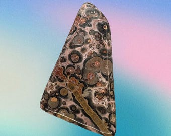 Leopardskin Jasper Cabochon