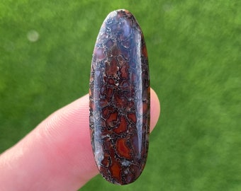 Video, Dinosaur Bone Cabochon