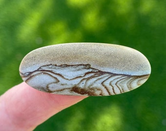 Video, Picture Jasper Cabochon