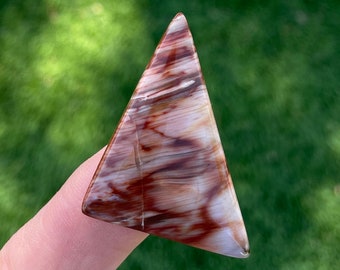 Video, Petrified Wood Cabochon