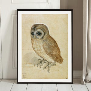 Durer Little Owl Print: Vintage Gallery Wall Art, Famous Artist