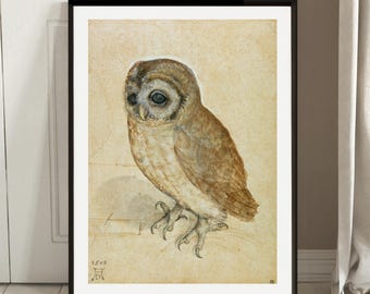 Durer Little Owl, 1508 wall decor gallery wall art print vintage poster art famous artist print