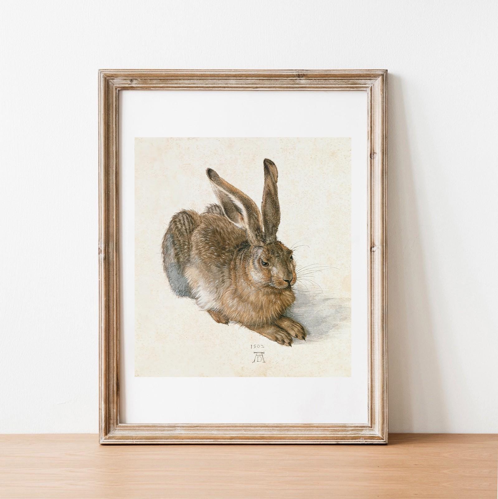 アルブレヒト・デューラー作「野ウサギ」版画：ヴィンテージ美術