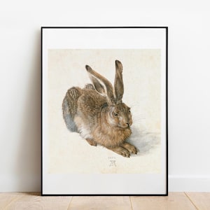 Durer The Hare 1502 home decor gallery wall art classic poster art vintage famous artist print