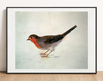 JMW Turner - The Robin c. 1816,  Fine Art Print, Wall Poster