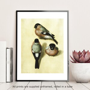Impresión artística de pared de galería de Durero, Estudio de aves, 1520, póster vintage, arte de artista famoso, impresión para decoración del hogar
