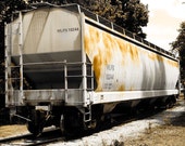 Old Train 1