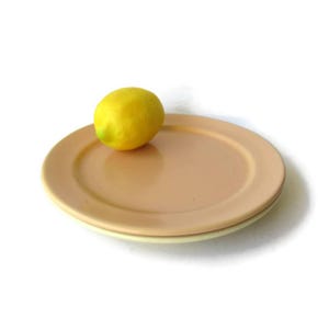 May include: A bright yellow lemon rests on a smooth, round, light peach-colored plate. The plate features a slightly raised rim and a flat center, providing a simple and clean display for the single piece of citrus fruit placed off-center.