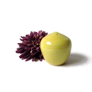 May include: A yellow ceramic salt shaker with a rounded shape and a small hole on top for dispensing salt.