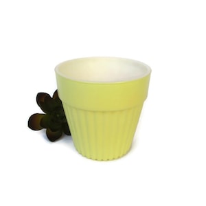 May include: A light yellow ceramic flower pot with vertical ribbed detailing. The interior is white. A dark green and brown succulent is placed to the left of the pot. The pot is designed for planting flowers or small plants.