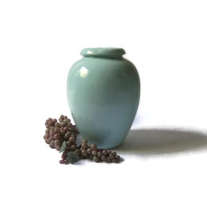 May include: A light teal ceramic vase with a rounded body and a small, flared rim. A bunch of artificial grapes in shades of brown and green rests near the base of the vase. The vase is a decorative item.