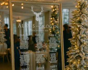 Winter Wedding Mirror Seating Chart Decals - Gold and Silver Vinyl