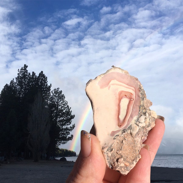 Wonderstone, natural desert jasper, Nevadan wonderstone, rocks and minerals