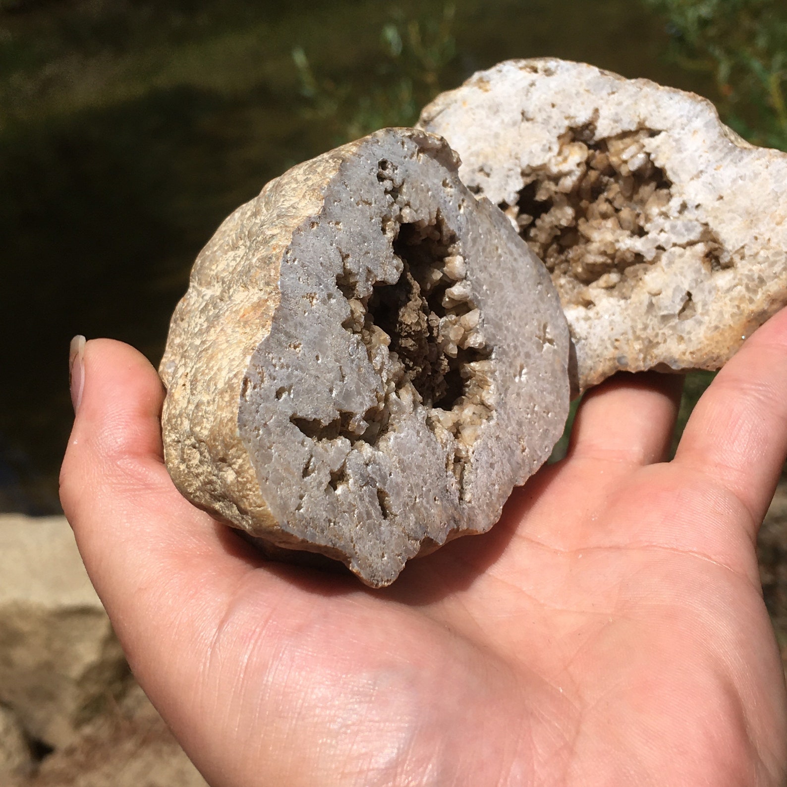 Kentucky Geode Pair Opened Geodes Cut Geodes Etsy
