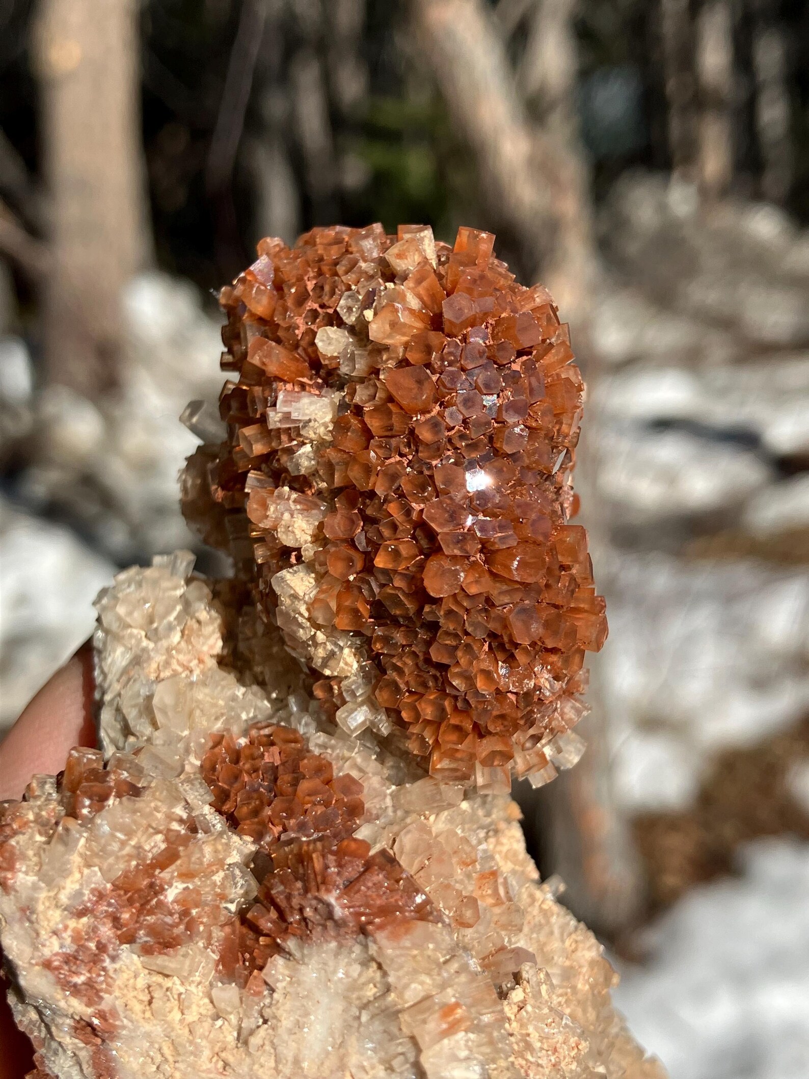 Aragonite, Large Crystal, Rocks and Minerals, Unique Stone - Etsy