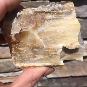 Opal wood specimen, Petrified wood from nevada, fluorescent mineral, rocks and minerals