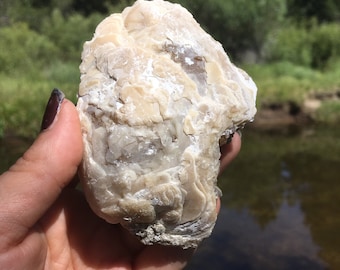 Large clam fossil shell with golden calcite, golden calcite crystals, rock collection, rocks and crystals, geology, neat rocks, Rucks pit FL