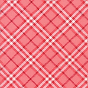 All-Weather Friend for Moda Fabrics by April Rosenthal of Prairie Grass Patterns