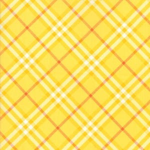 All-Weather Friend for Moda Fabrics by April Rosenthal of Prairie Grass Patterns