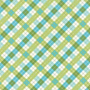 Summerfest for Moda Fabrics by April Rosenthal of Prairie Grass Patterns