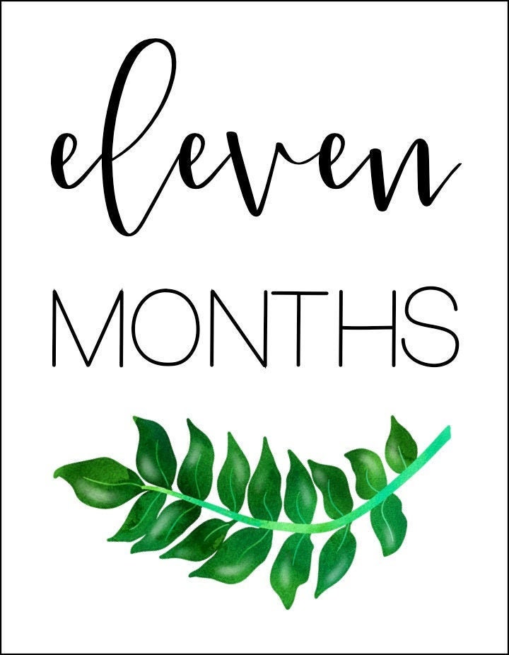 Printable Baby Monthly Milestone Cards Baby Photo Props - Etsy