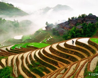 Nature and Landscape photography - Rice Terraces in China, asian village and farm