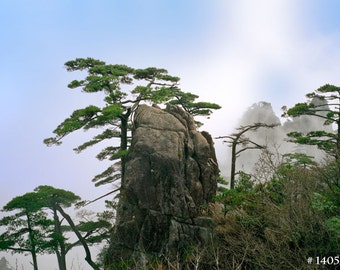 Yellow Mountain National Park, China, Nature Landscape photography, home and office decor print