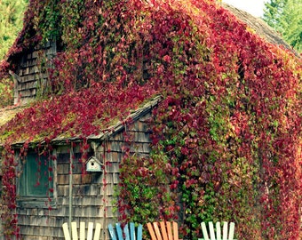 Lovely Outdoor Chairs, Fine Art photography, Colorful Home and Office wall decor photographic print